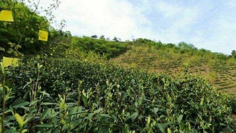 北京虾米乡餐饮管理有限公司